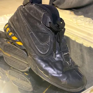 Michael Vick basketball shoes
