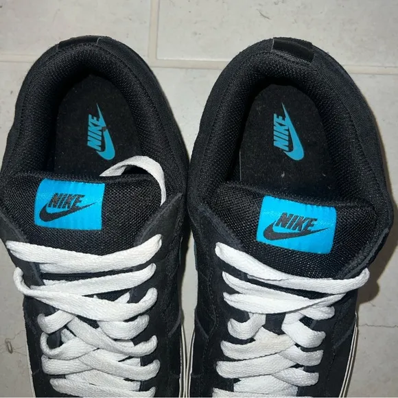 Nike Isolate LR Low Top Skate Shoes