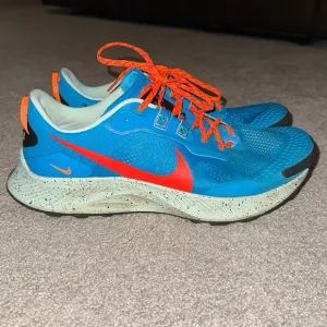 Nike Pegasus Trail Shoes