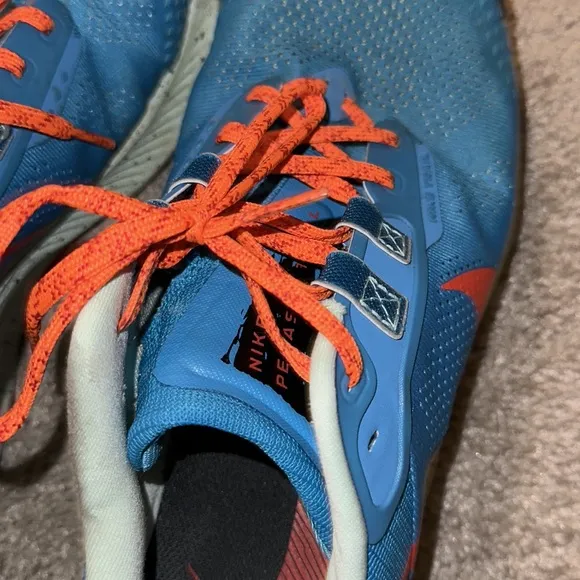 Nike Pegasus Trail Shoes