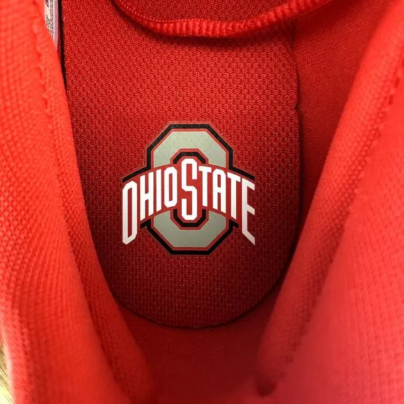 Nike Vapor Edge Turf Size 12 Ohio State PE Football Training Shoes CV1672-602