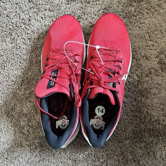 Ohio State Buckeyes Nike Air Zoom‎ Pegasus 39 Running Shoe Size 14 DR1966-600