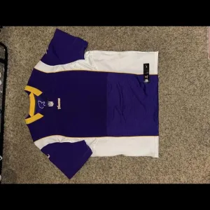 Vintage Nike Men’s NFL Minnesota Vikings Purple Vapor Jersey
